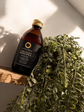 Marine vs Bovine Collagen: Which One Is Right for You?